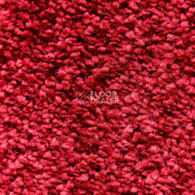 Ковролин AW Masquerade Morgana 10 фото 1 | FLOORDEALER